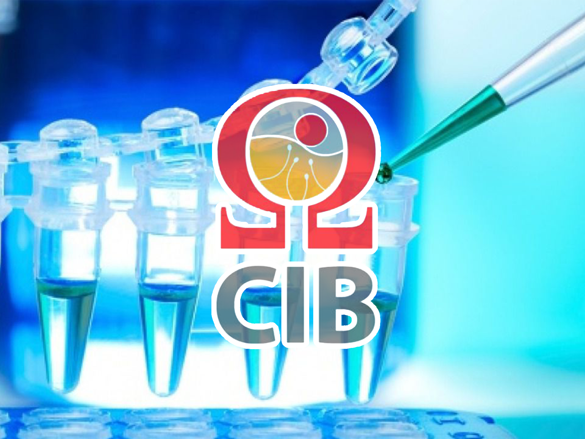 Investigaciones Biomédicas